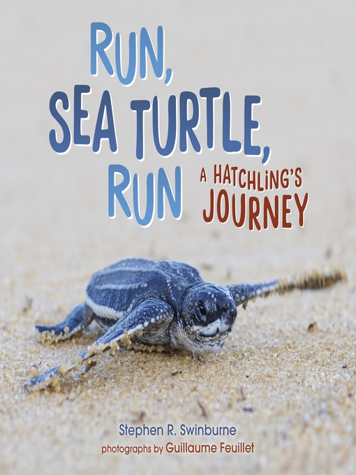 Title details for Run, Sea Turtle, Run by Stephen R. Swinburne - Available